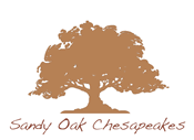 Sandy-Oak-logo2_colorsm